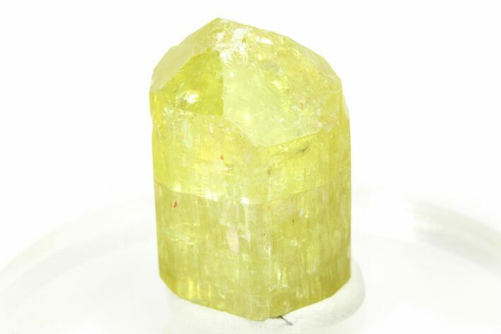 Gemmy Yellow-Green Apatite Crystal - Morocco #276541